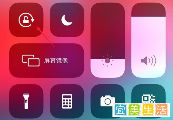 钉钉直播怎么投屏到电视