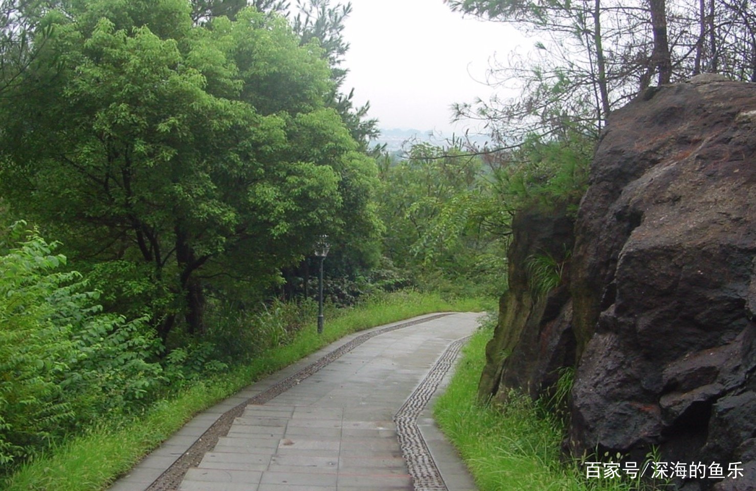 湖北十堰晨跑失联女孩,永远躺在了南山公园,她究竟是如何遇害的?