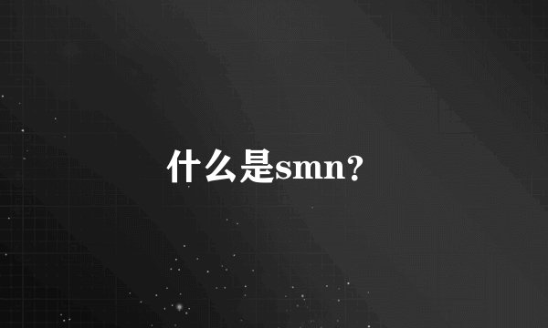 什么是smn？