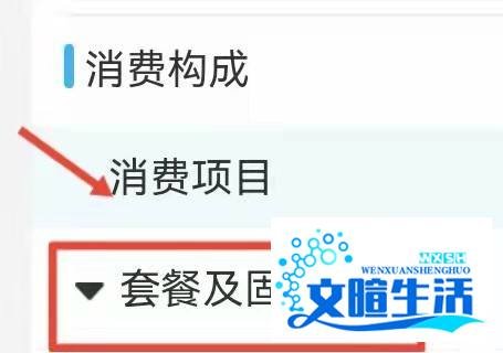 固定电话费用怎么查询