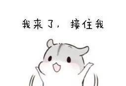2019应届生平均起薪5610元？