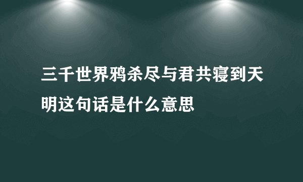 三千世界鸦杀尽与君共寝到天明这句话是什么意思