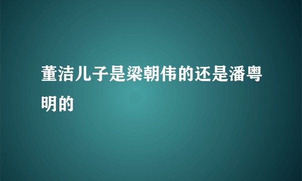 董洁儿子是梁朝伟的还是潘粤明的