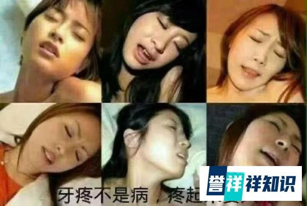 贾平凹《暂坐》（小说连载31）