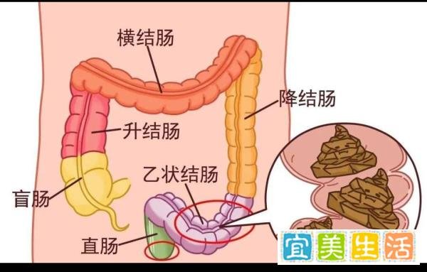 做 0 会导致 男同漏失?真实的医学论文研究告诉你答案。