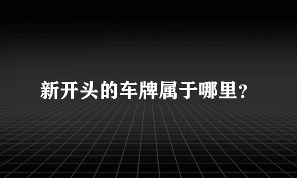 新开头的车牌属于哪里？