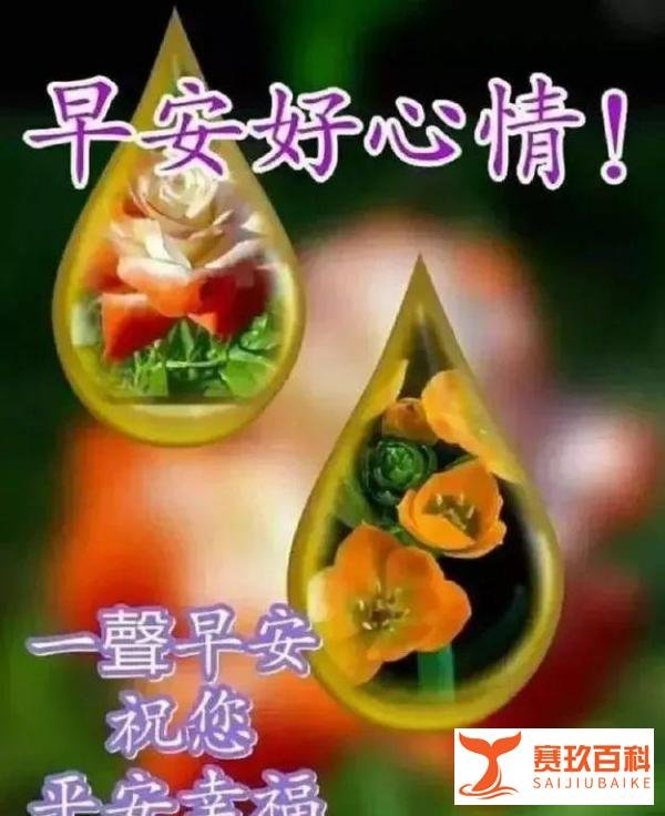 2021年微信最新早安祝福语大全,微信群发朋友圈暖心祝福语