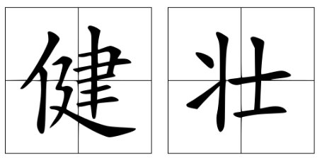 健壮是什么意思