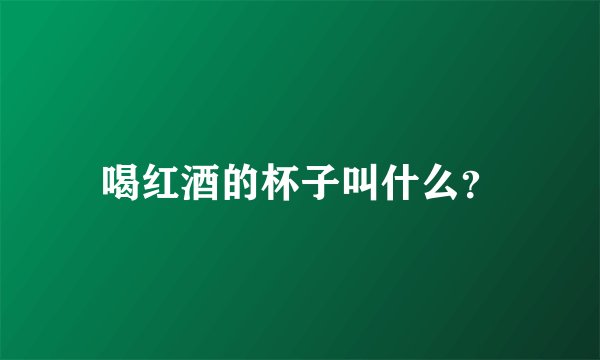 喝红酒的杯子叫什么？