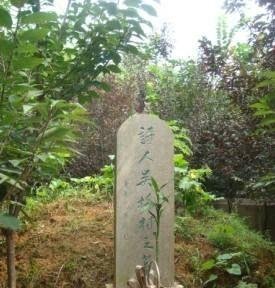 ‘’严绳孙‘’不是‘’曹雪芹‘’