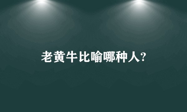 老黄牛比喻哪种人?