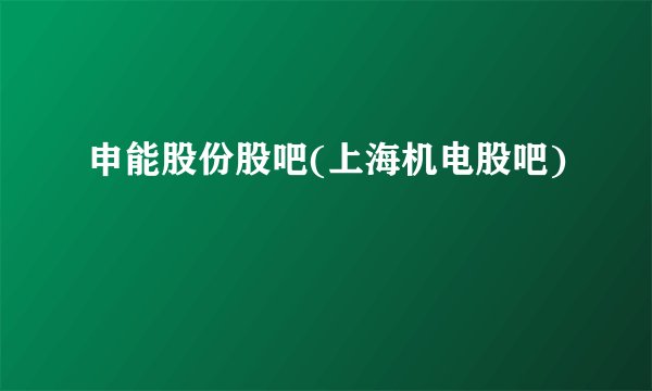 申能股份股吧(上海机电股吧)
