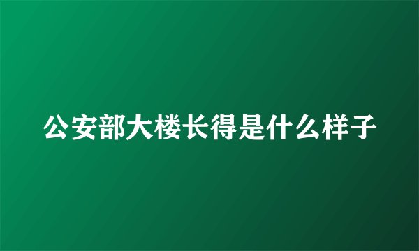 公安部大楼长得是什么样子