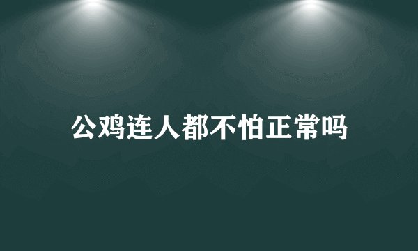 公鸡连人都不怕正常吗