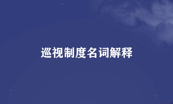 巡视制度名词解释