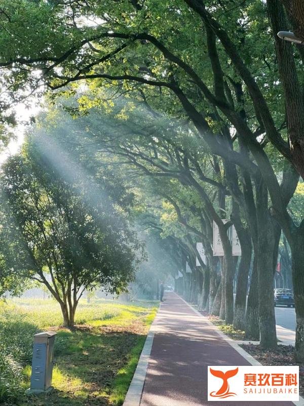 阳光心态,积极进取——大学生的生活与学习之道