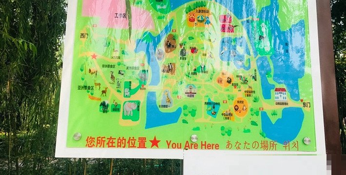 天津野生动物园门票多少2025