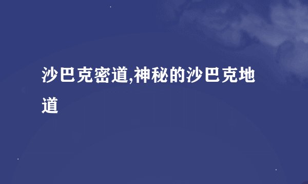 沙巴克密道,神秘的沙巴克地道