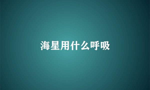海星用什么呼吸
