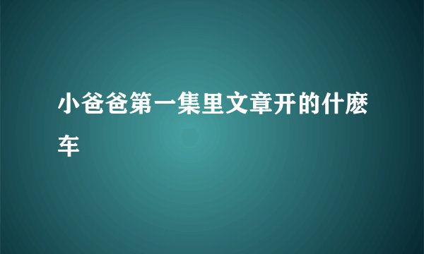 小爸爸第一集里文章开的什麽车