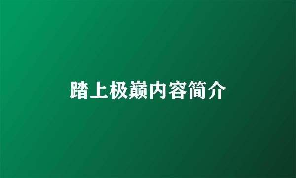 踏上极巅内容简介