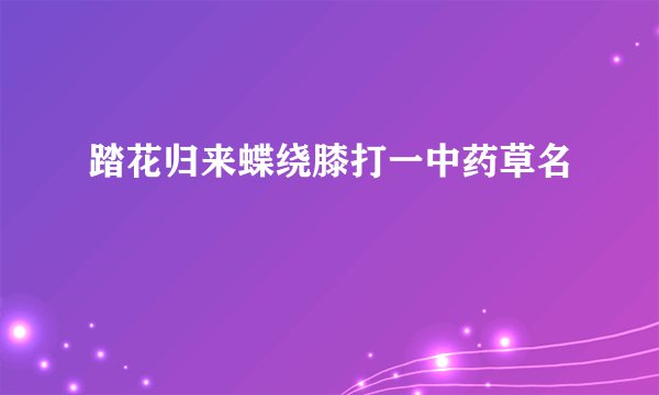 踏花归来蝶绕膝打一中药草名