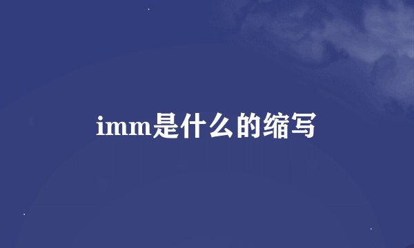 imm是什么的缩写
