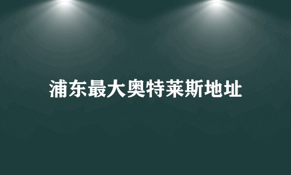 浦东最大奥特莱斯地址