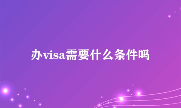 办visa需要什么条件吗