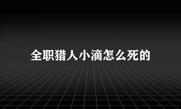 全职猎人小滴怎么死的