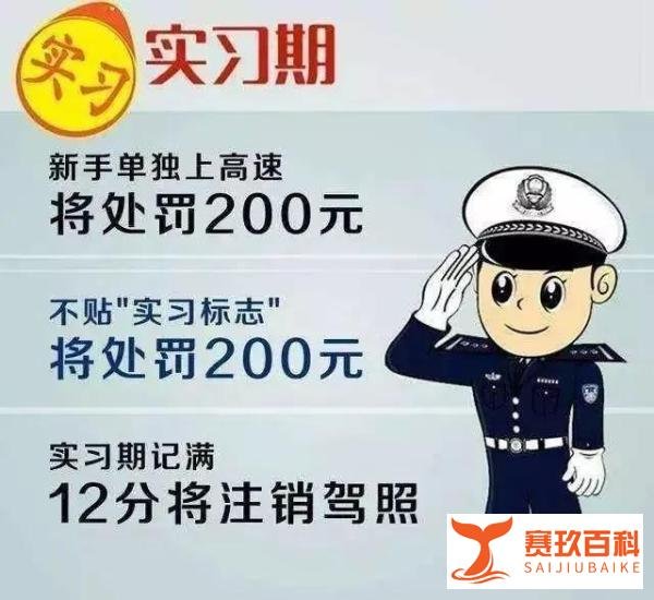 深圳汽车陪驾流程，深圳汽车陪练流程，深圳新手司机陪驾陪练全流程