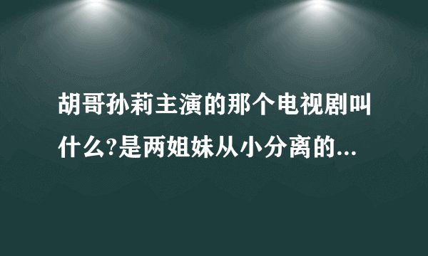 胡哥孙莉主演的那个电视剧叫什么?是两姐妹从小分离的故事,很好看,