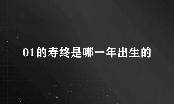 01的寿终是哪一年出生的