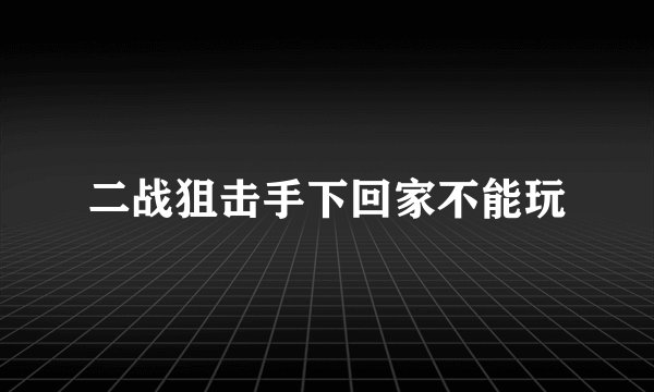 二战狙击手下回家不能玩