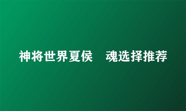 神将世界夏侯惇魂选择推荐
