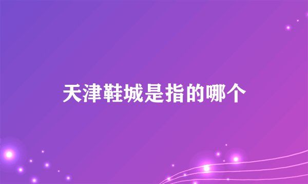 天津鞋城是指的哪个