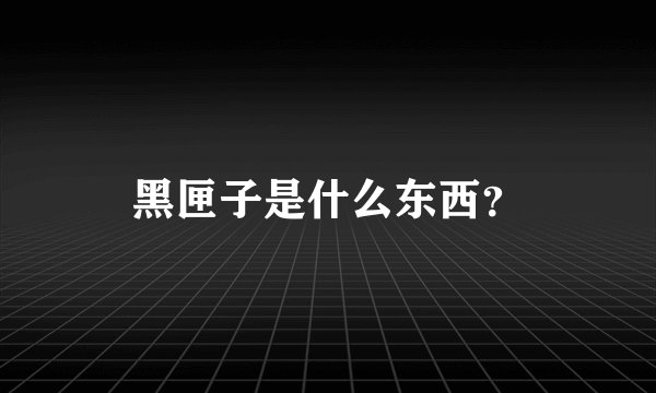 黑匣子是什么东西？