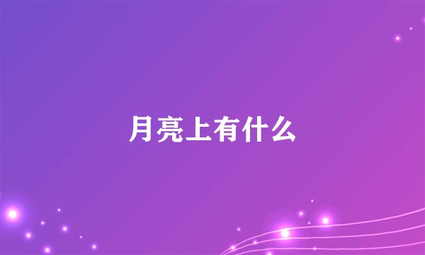 月亮上有什么