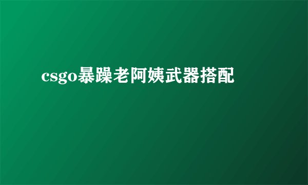 csgo暴躁老阿姨武器搭配