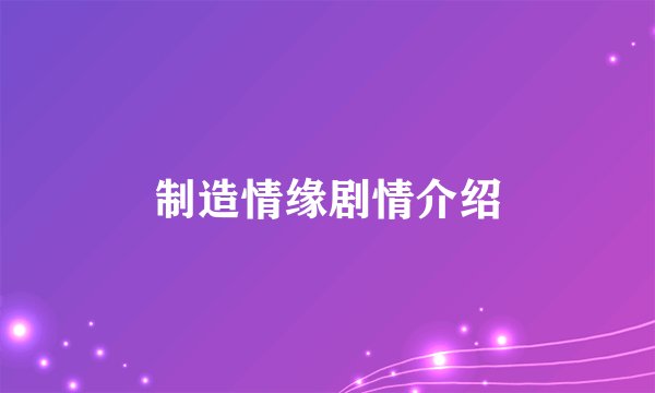 制造情缘剧情介绍