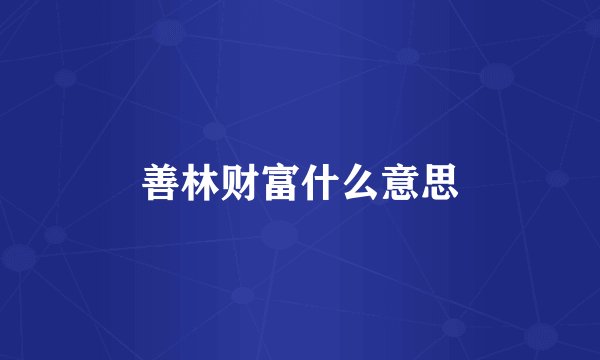 善林财富什么意思