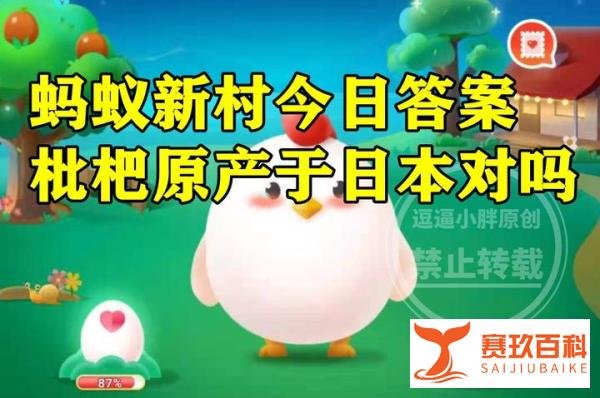 枇杷原产于日本对吗？蚂蚁新村枇杷原产于哪里答案