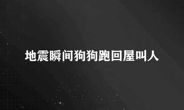 地震瞬间狗狗跑回屋叫人