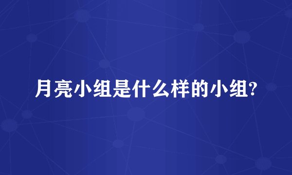 月亮小组是什么样的小组?