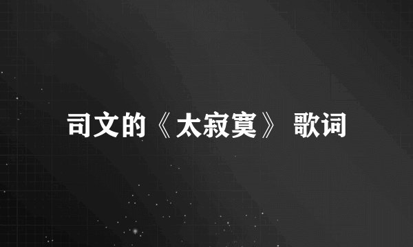 司文的《太寂寞》 歌词