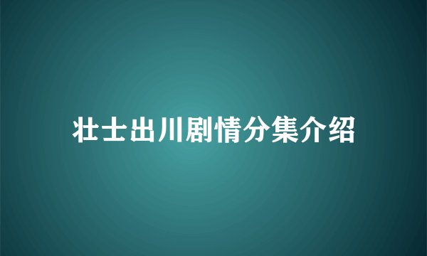 壮士出川剧情分集介绍