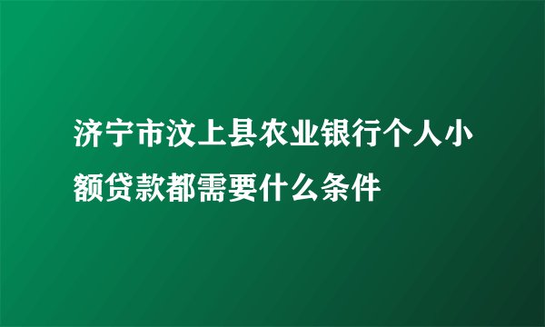 济宁市汶上县农业银行个人小额贷款都需要什么条件