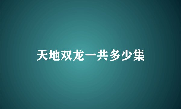 天地双龙一共多少集