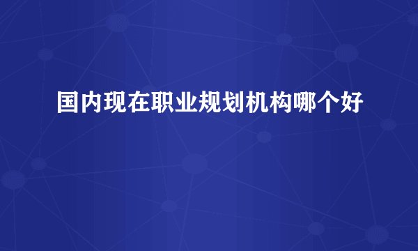 国内现在职业规划机构哪个好