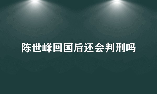 陈世峰回国后还会判刑吗